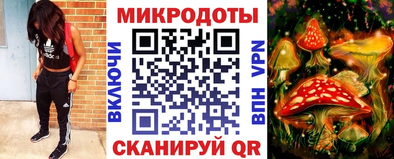 Псилоцибиновые грибы прущие грибы  Плёс 